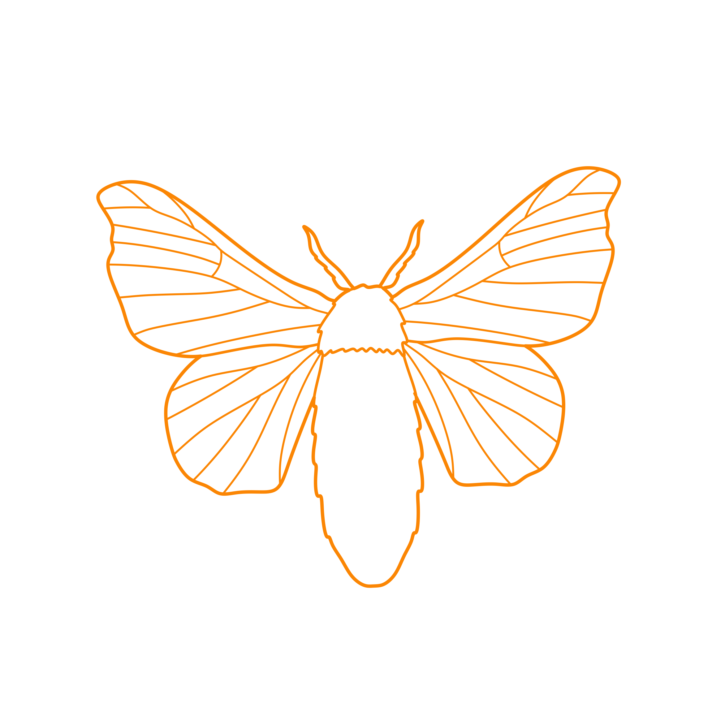 Animals Insects Domestic Silk Moth Outline Icon Svg Set Free Vectors